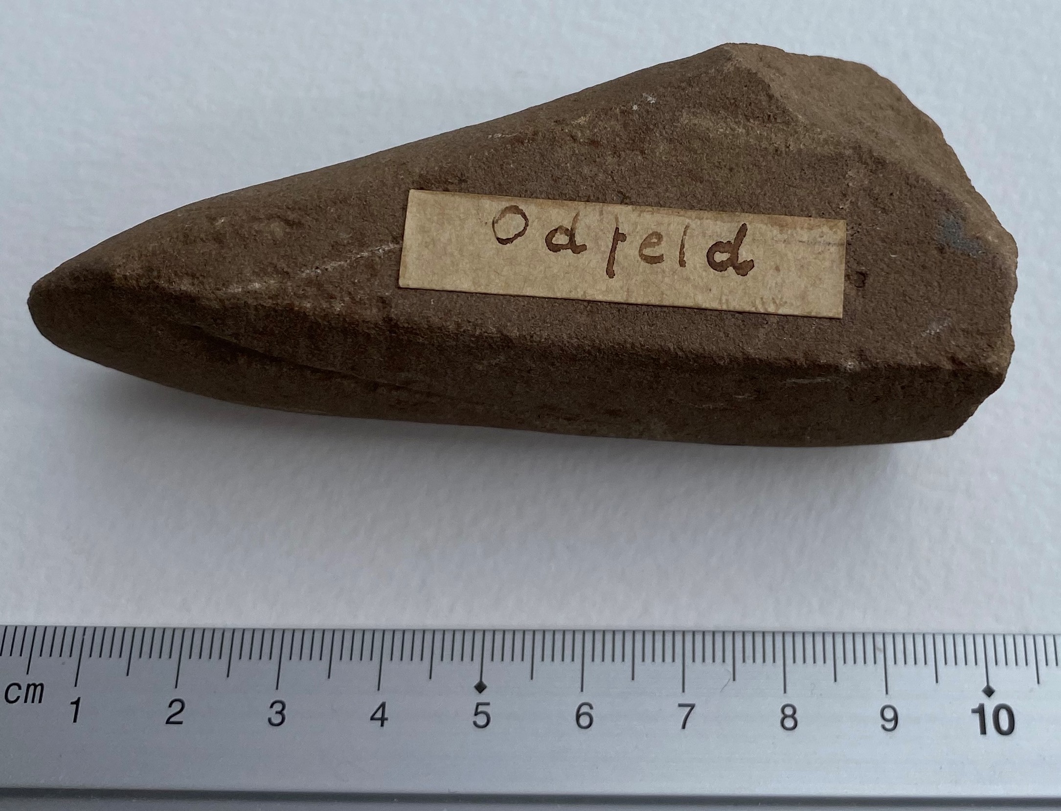 Steinhacke Odfeld aus der geologischen Sammlung Carl Kaese